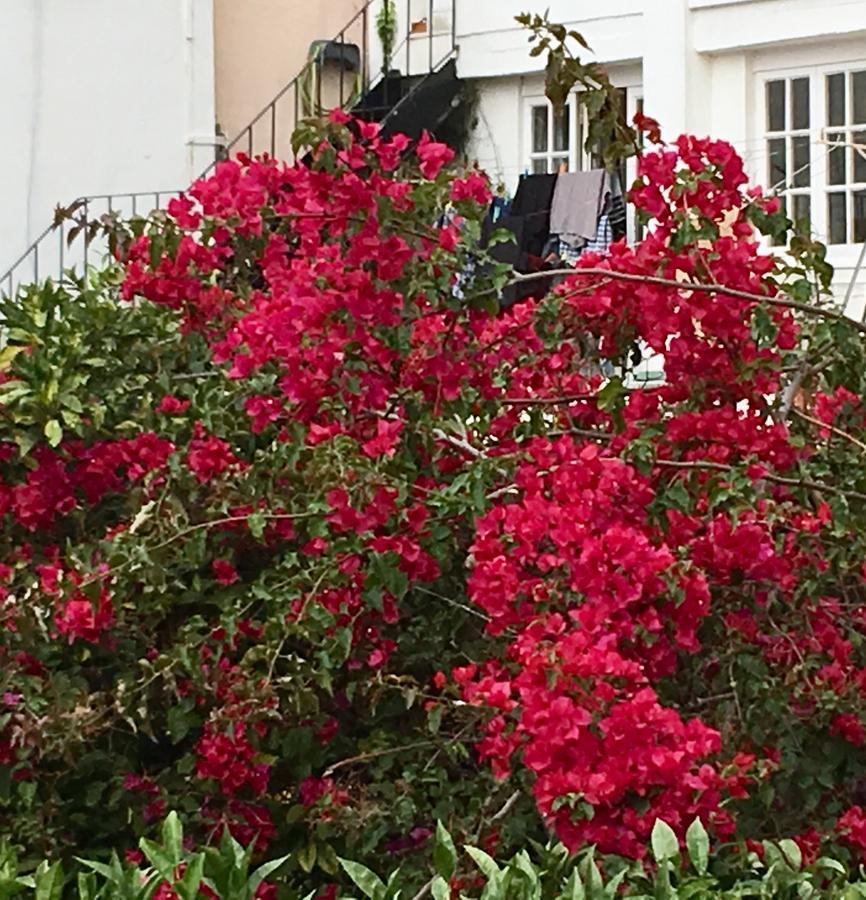 Flores Lissabon Exterior foto